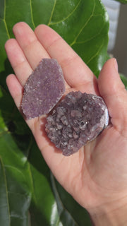 Amethyst Cluster - Pick Your Own