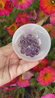Mini Purple Fluorite Mushie