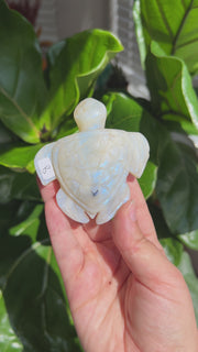 Moonstone Turtle - Pick Your Own