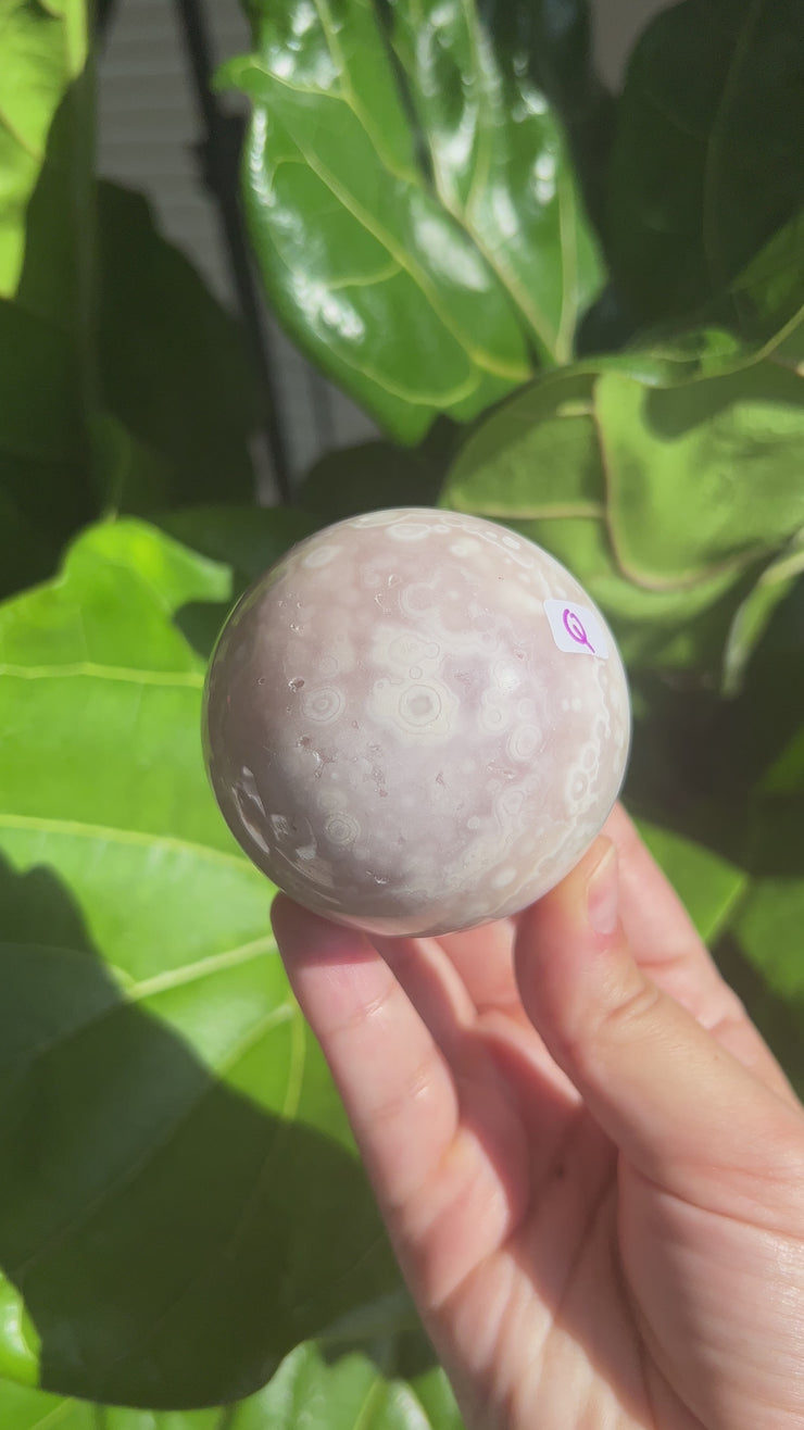 High Quality Flower Agate Sphere Q