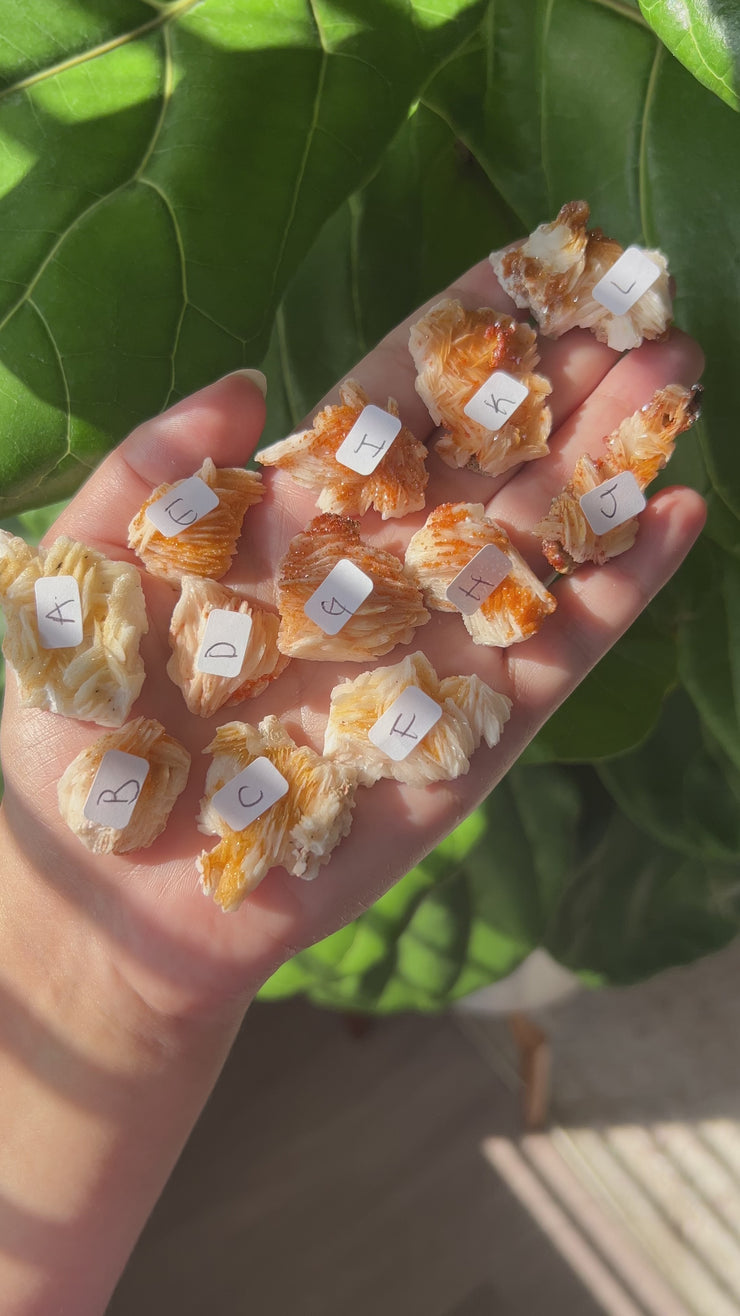 Vanadinite - Pick Your Own