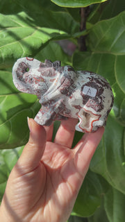 Crazy Lace Agate Elephant - Pick Your Own