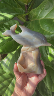 Druzy Agate Dolphin