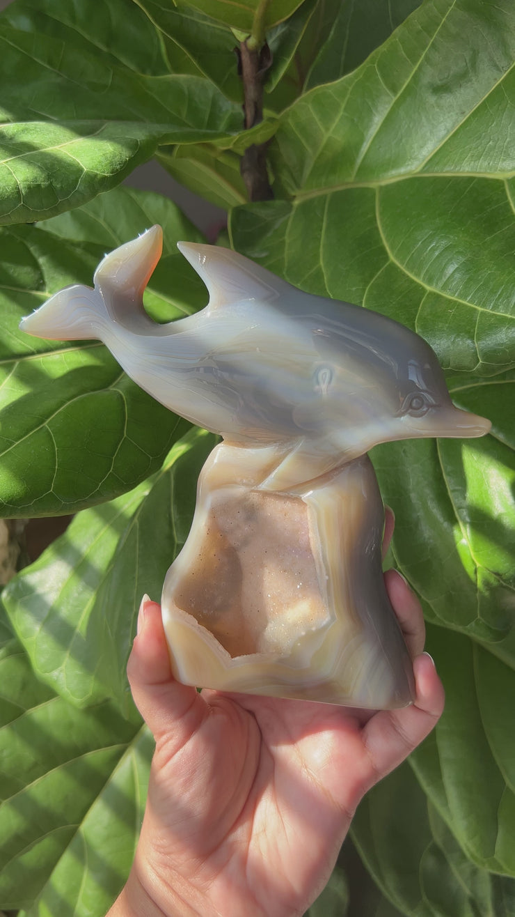 Druzy Agate Dolphin