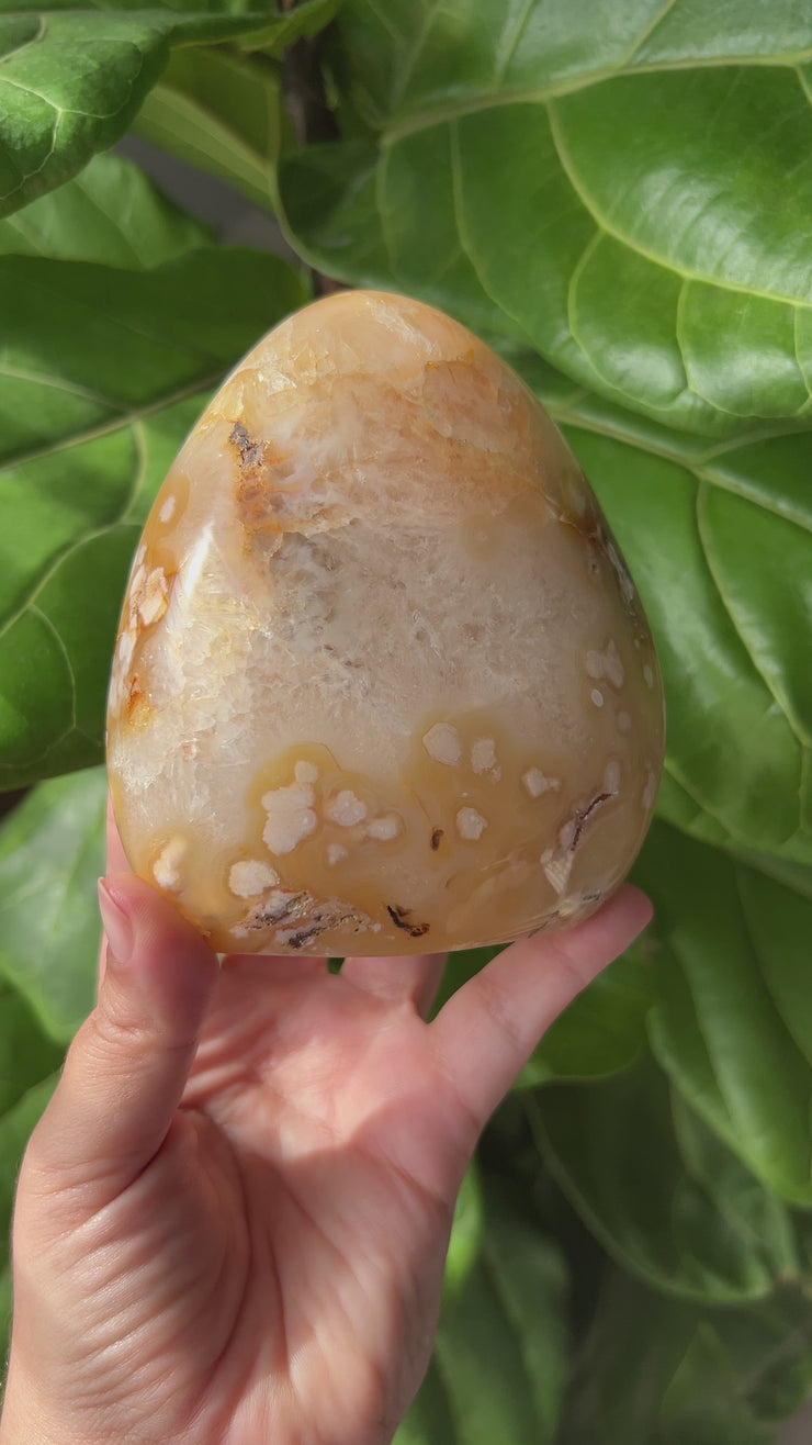 XL Flower Agate Freeform