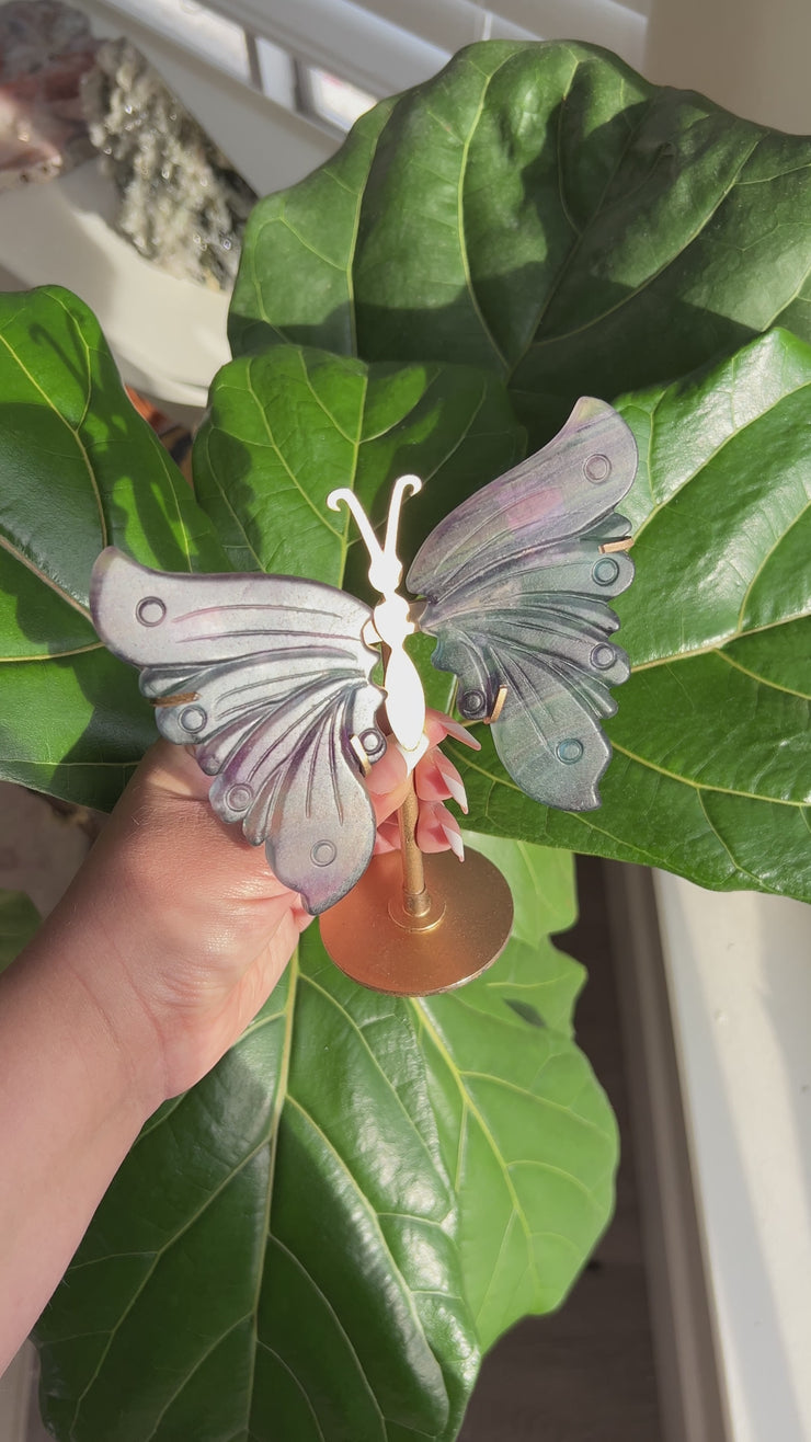 Fluorite Butterfly on Stand