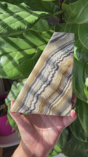 Zebra Onyx Bookends