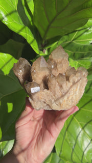 XL Citrine Cluster D