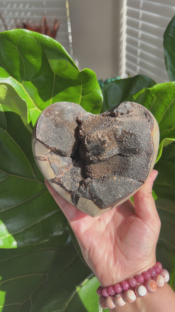 XL Druzy Septerian Heart