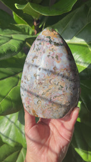 XL Ocean Jasper Freeform
