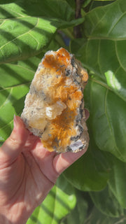 Barite with Cerusite and Galena - Pick Your Own