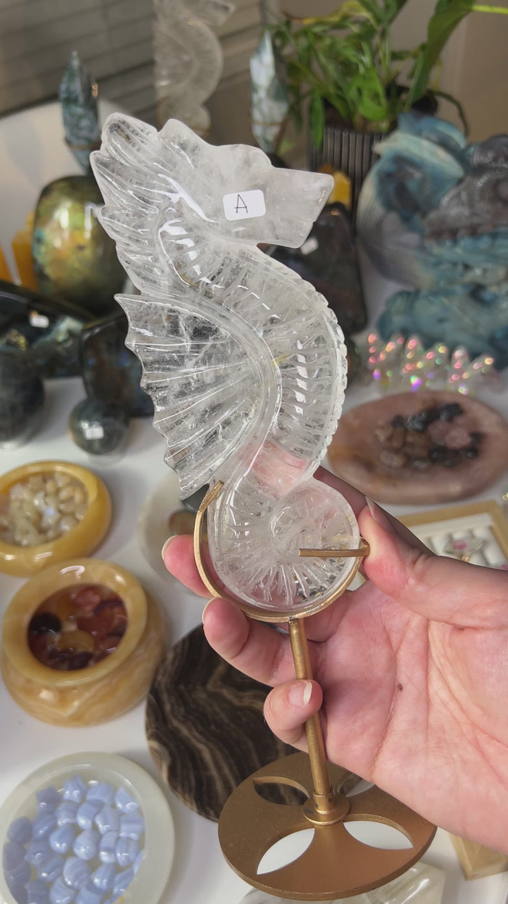 Clear Quartz Seahorse on Stand - Pick Your Own