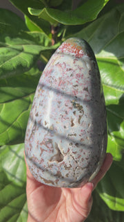 XL Ocean Jasper Freeform