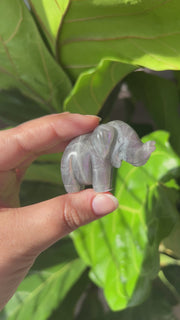 Mini Carving - Pick Your Own