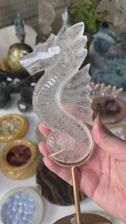 Clear Quartz Seahorse on Stand - Pick Your Own