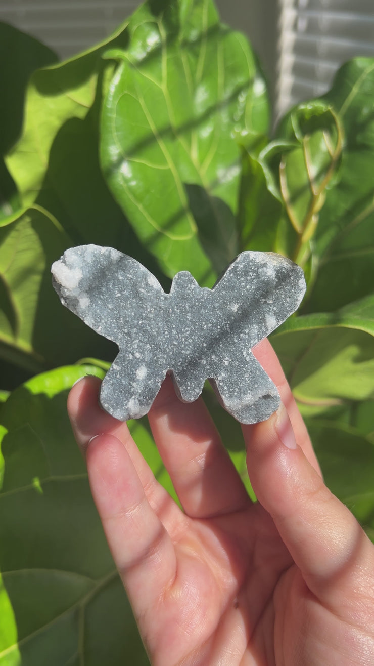 Druzy Butterfly