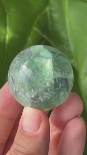 Snowflake Fluorite Mini Sphere