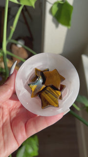 Mini Tigers Eye Star