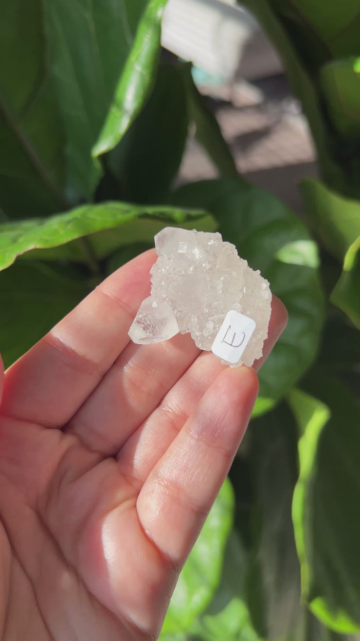 Apophyllite - Pick Your Own