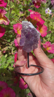 Raw Amethyst on Stand - Pick Your Own