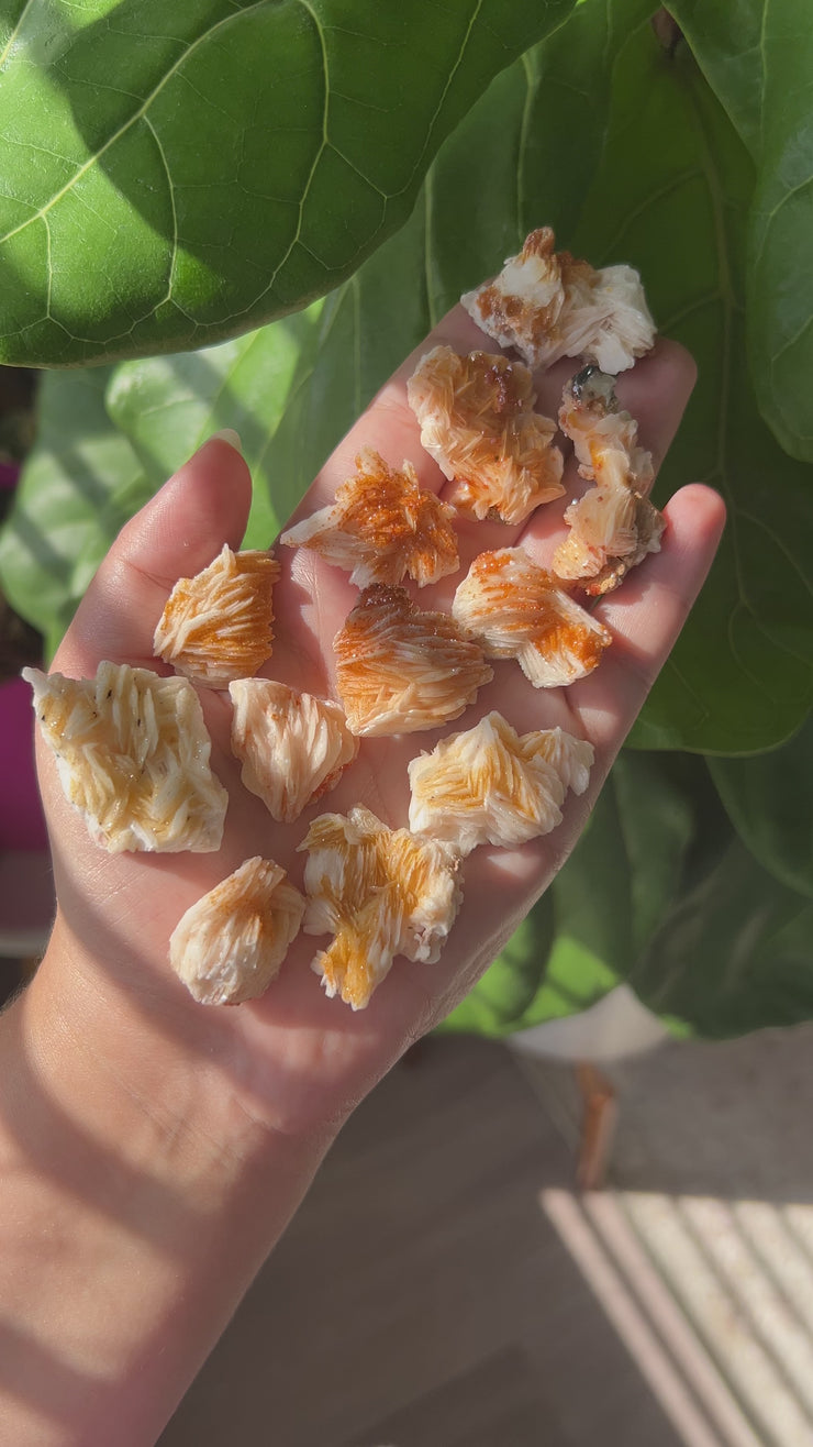 Vanadinite - Pick Your Own