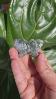 Moss Agate Butterfly