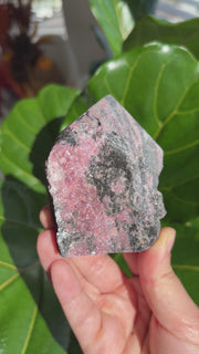 Rhodonite Half Polished Point