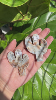 Raw Chalcedony Cactus