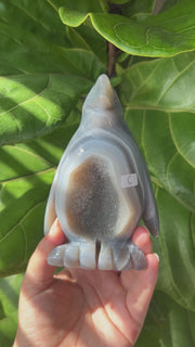 Druzy Agate Penguin