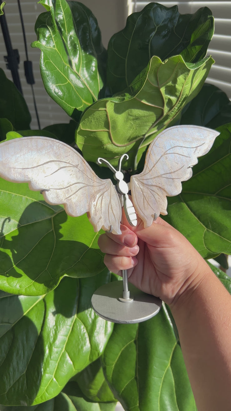 Moonstone Butterfly Wings A