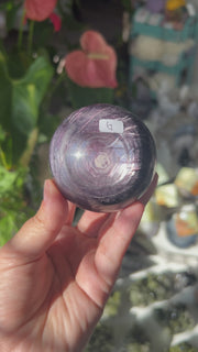 Medium Mica Lepidolite Sphere - Pick Your Own