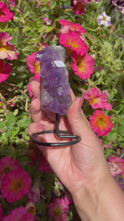 Raw Amethyst on Stand - Pick Your Own