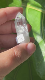 White Amphibole Quartz - Pick Your Own