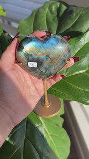 Labradorite Heart on Stand - Pick Your Own