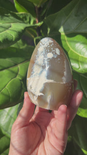 Orca Agate Freeform