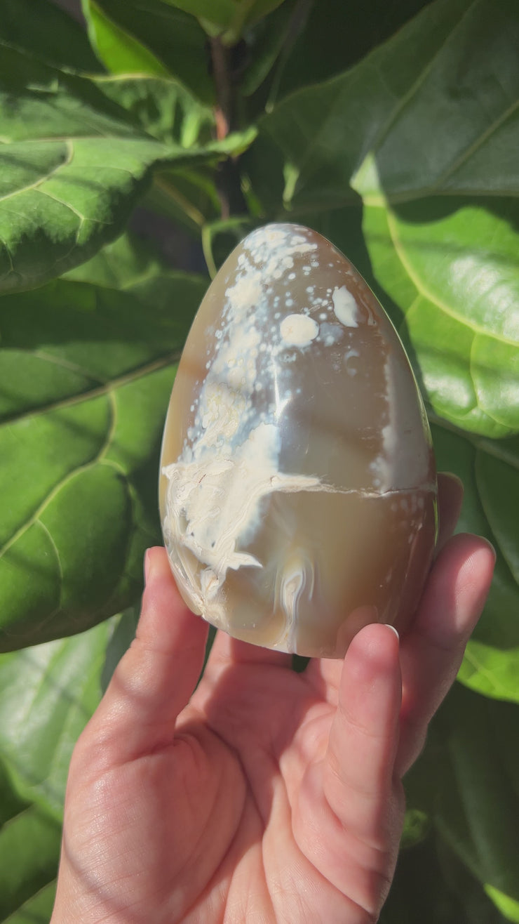 Orca Agate Freeform