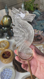 Clear Quartz Seahorse on Stand - Pick Your Own