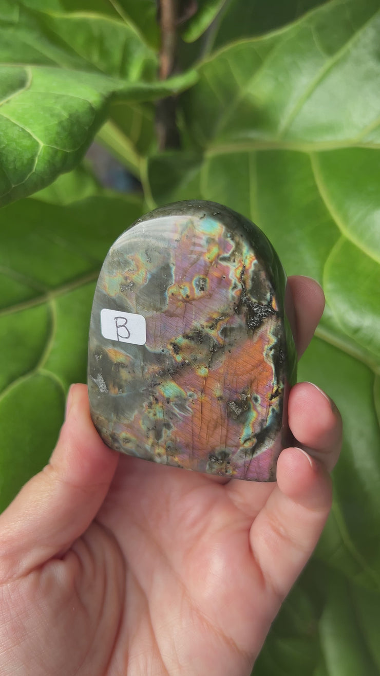 Labradorite Freeform - Pick Your Own