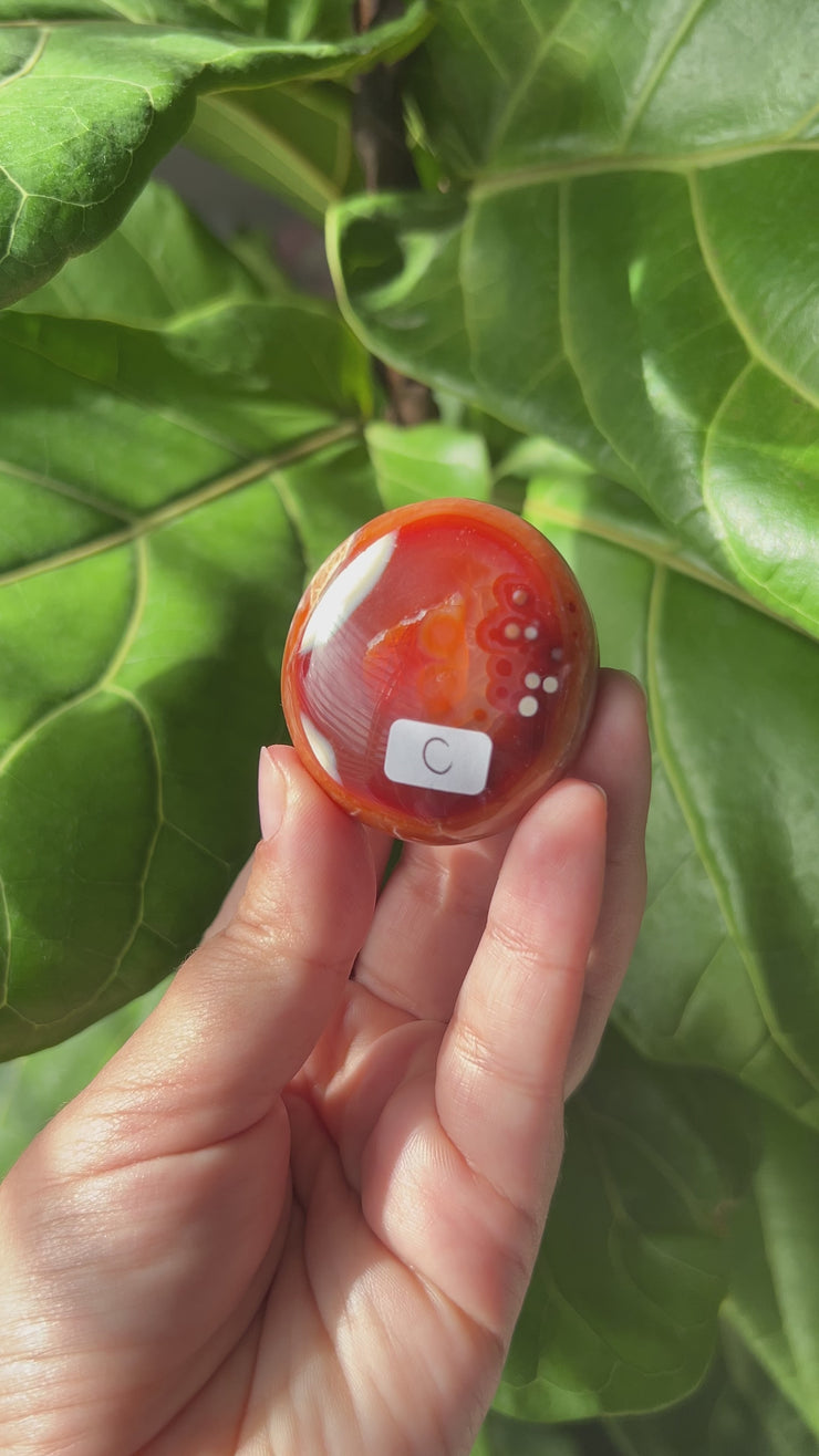 Carnelian Palmstone - Pick Your Own