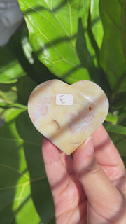 High Quality Flower Agate Heart - Pick Your Own