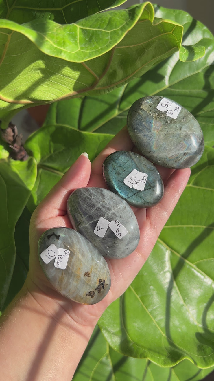 Labradorite Palmstone - Pick Your Own