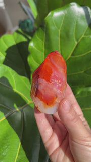 Carnelian Flame