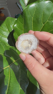 Mini Agate Geode