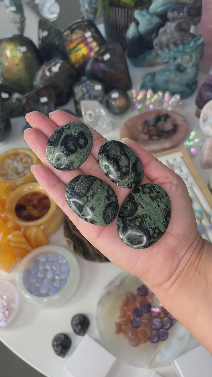 Kambaba Jasper Palmstone