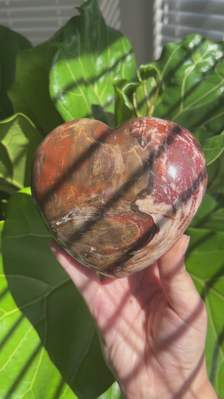 XL Petrified Wood Heart