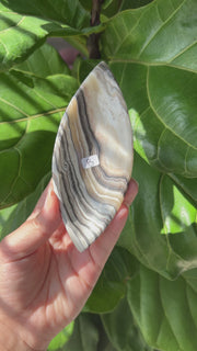 Zebra Jasper Oval Bowl