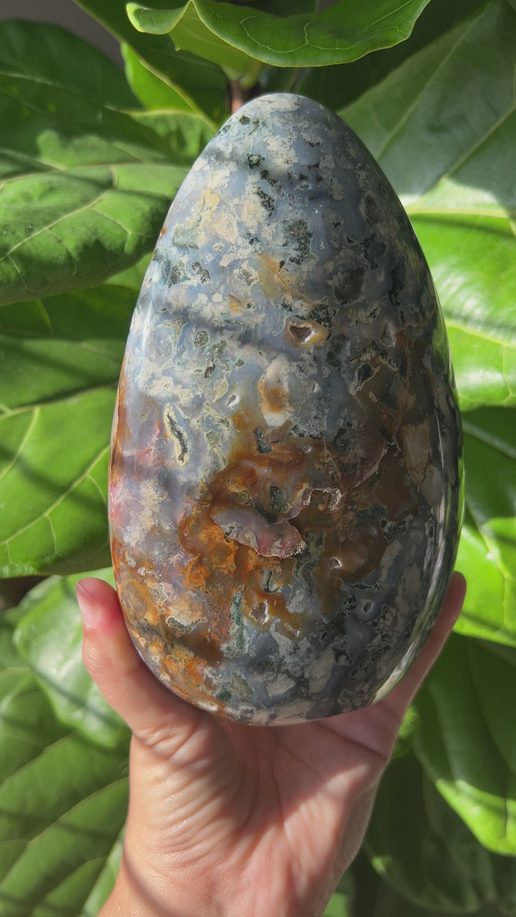 XL Ocean Jasper Freeform