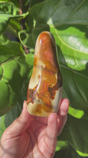 Polychrome Jasper Freeform