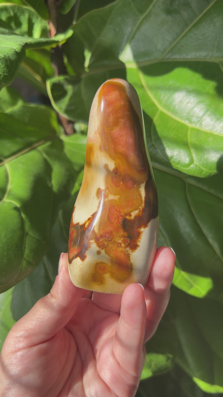 Polychrome Jasper Freeform