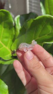 Flower Agate Mini Whale